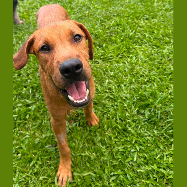 Photo of Clifford Aka Cliffy