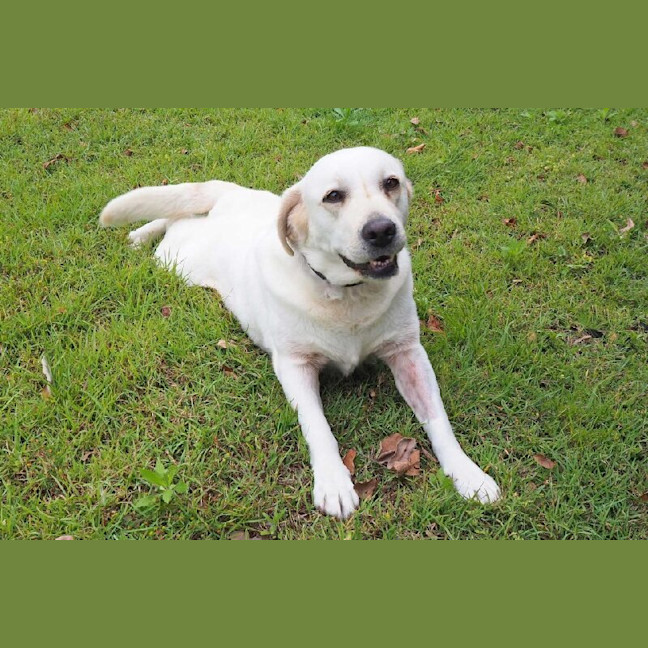 Photo of Heather Now Haven