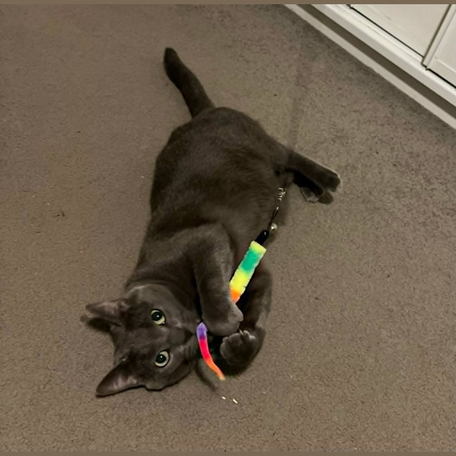 Photo of Bubbles