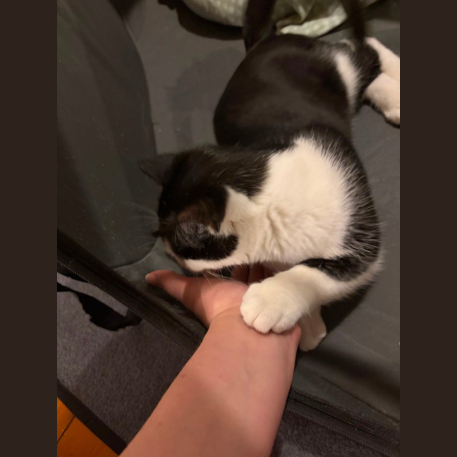 Photo of Tobby 