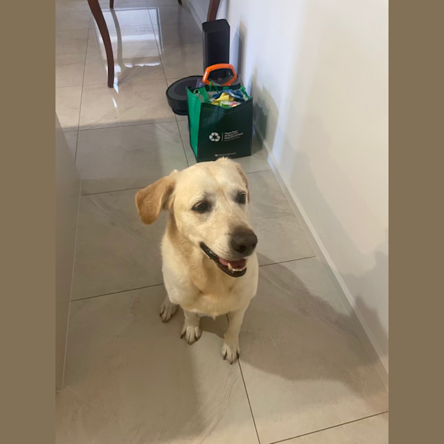 Photo of Gidget