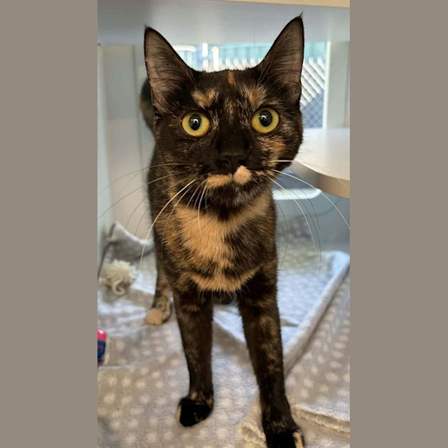 Photo of Junebug