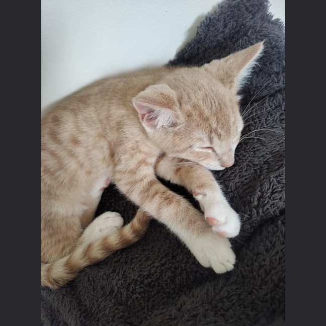 Photo of Wanda