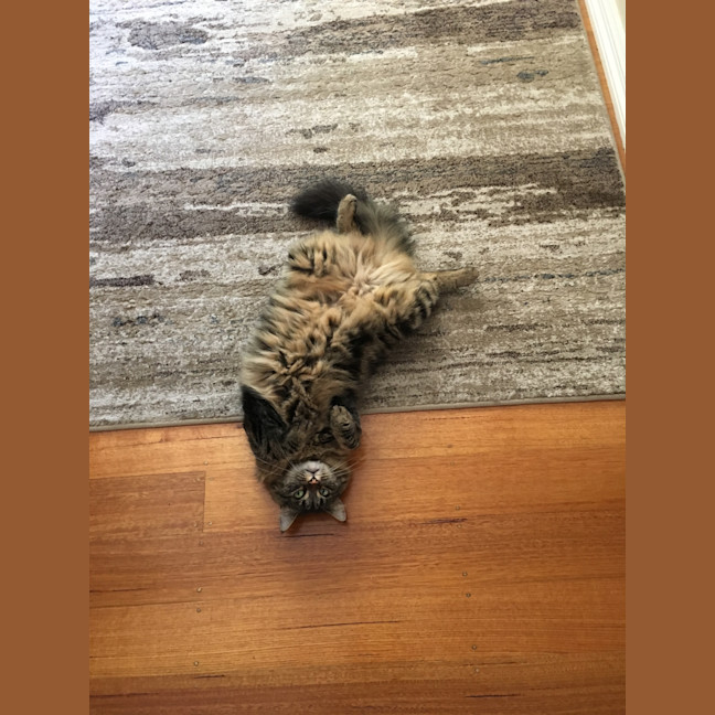 Photo of Hazel