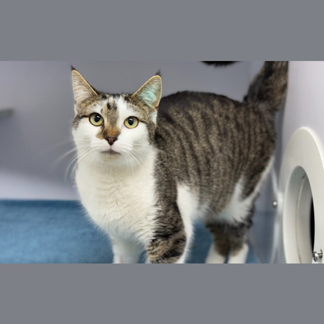 Photo of Mabel