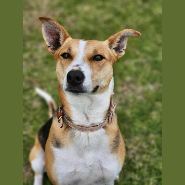 Photo of 🌼 Daisy 6367 🌼