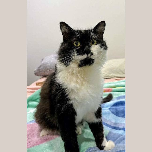 Photo of Jasper