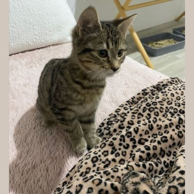 Photo of Mabel