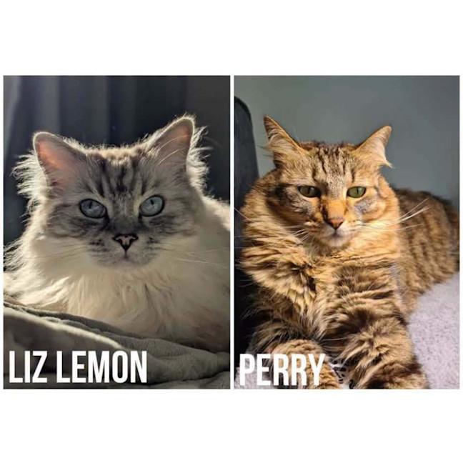 Photo of 14636 & 14635 – Perry & Liz Lemon