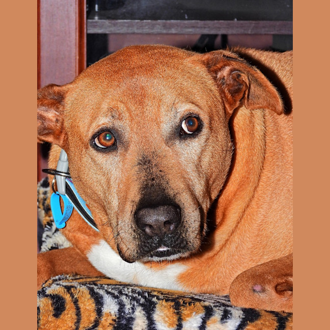 Photo of Maverick