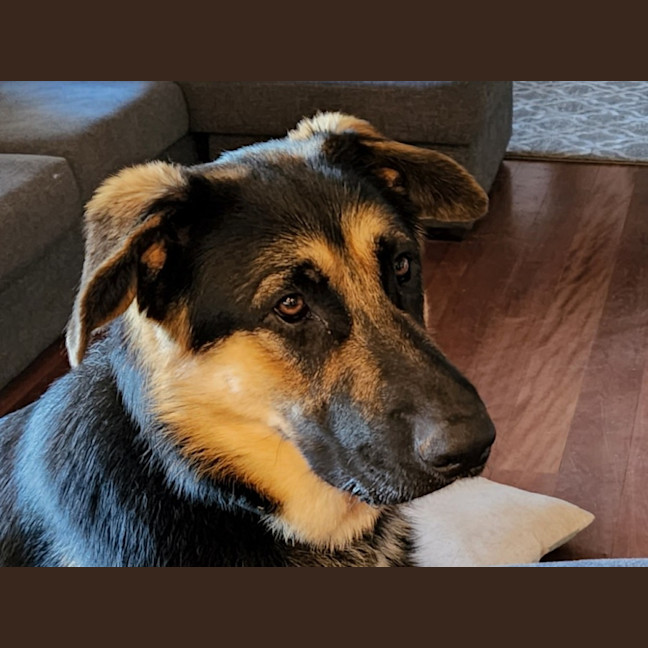 Photo of Zeus