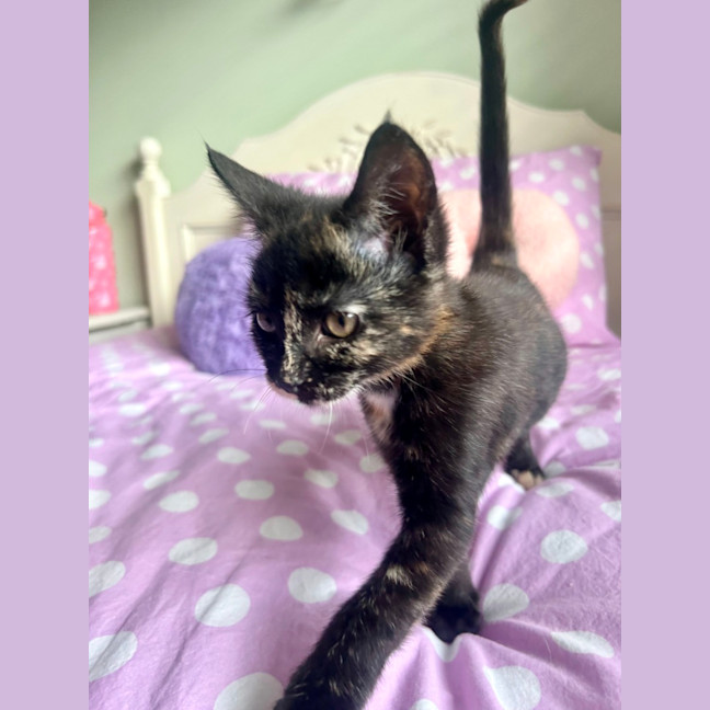 Photo of Ramona