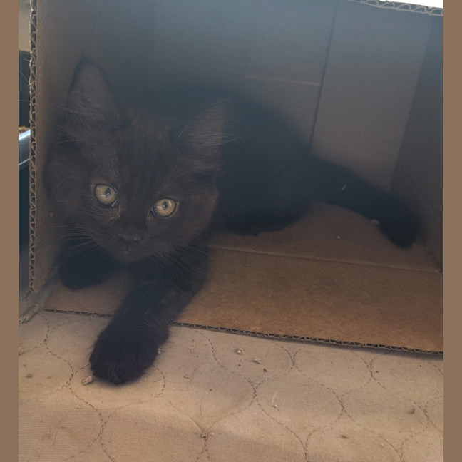 Photo of 💗 Annie 💗