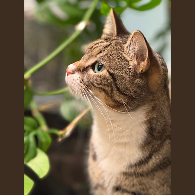 Photo of Alice