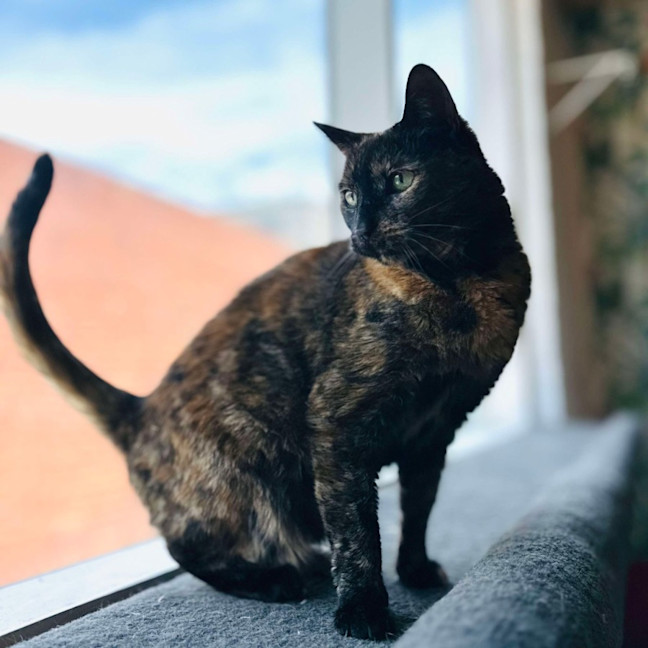 Photo of Kitlyn   Located In Preston