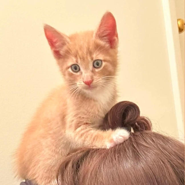 Photo of Crunchy
