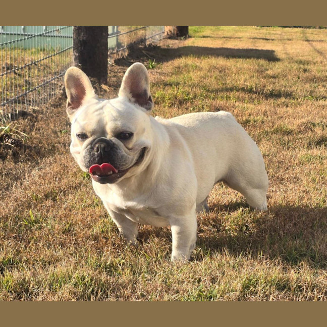 Photo of Lacie