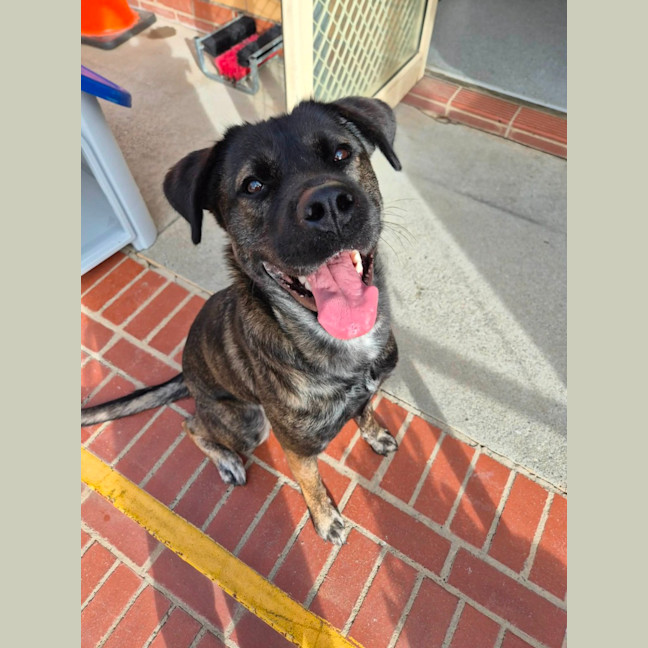 Photo of Lucy! 💛