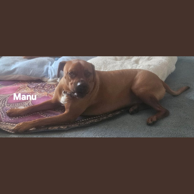 Photo of Manu