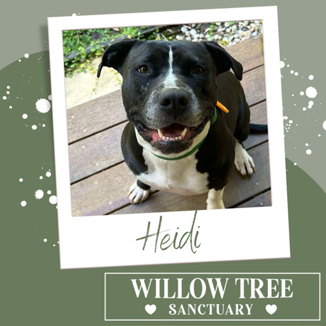 Photo of Heidi