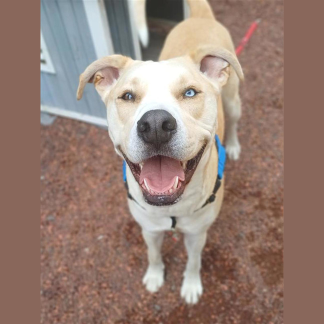 Photo of Albert (Now Albie)