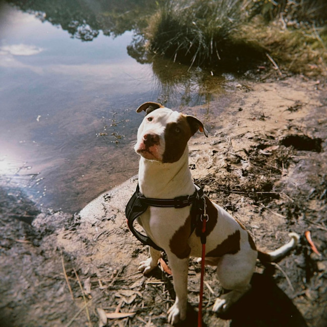 Photo of Jenga
