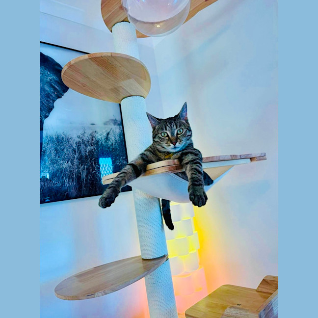 Photo of Ferris & Felix