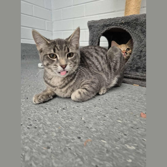 Photo of Autumn! 🍁