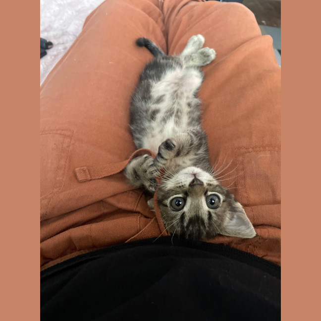 Photo of Remi