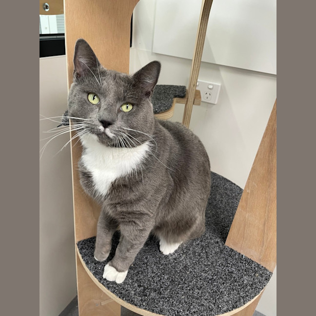 Photo of Reg
