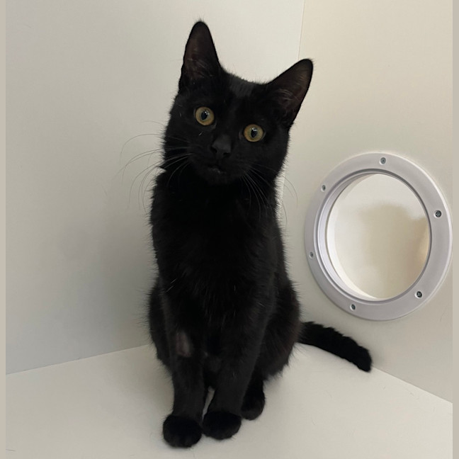 Photo of Minxy