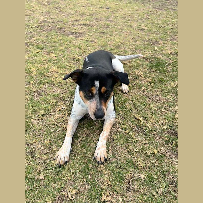 Photo of Dottie