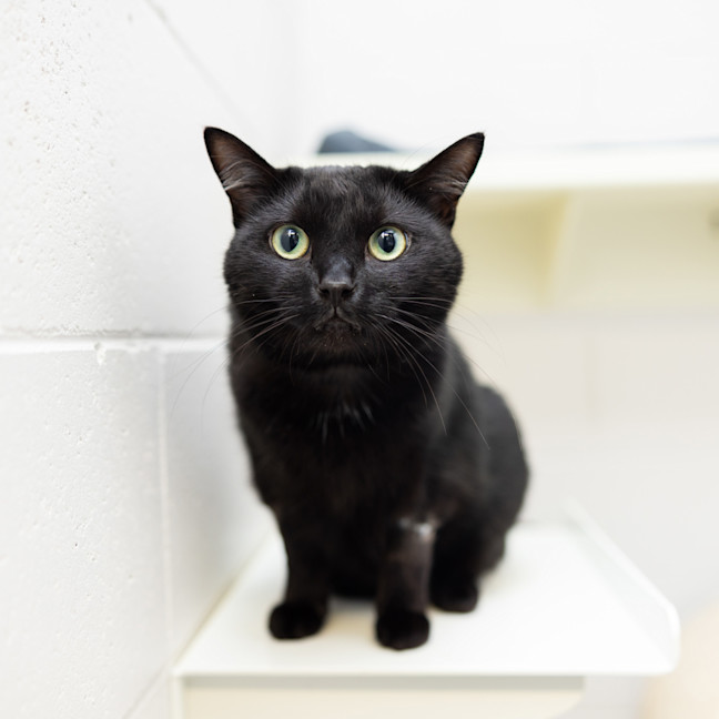 Photo of Taco