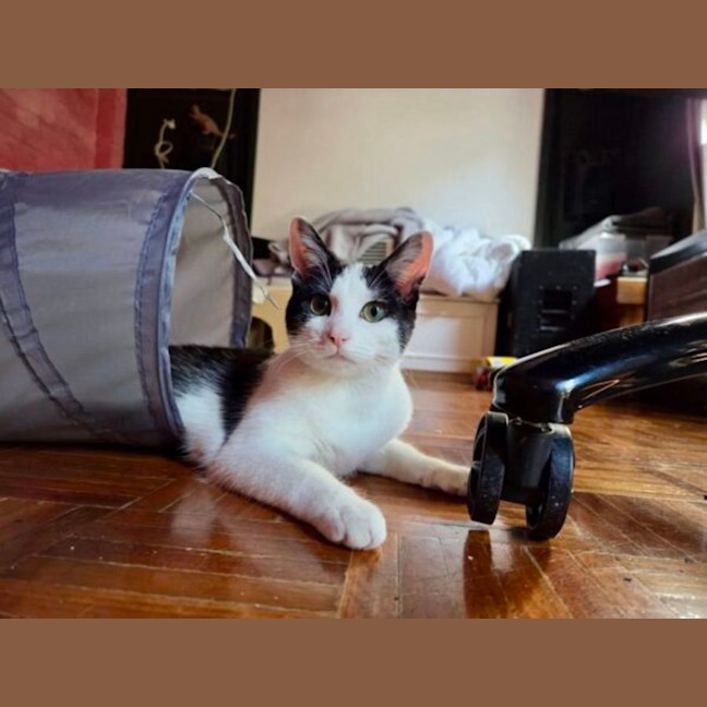 Photo of Maggie
