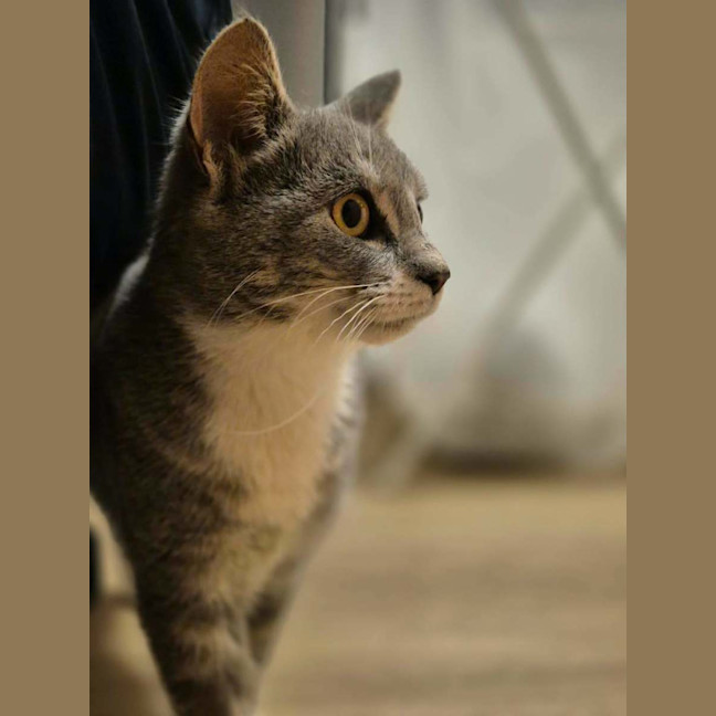 Photo of Heidi