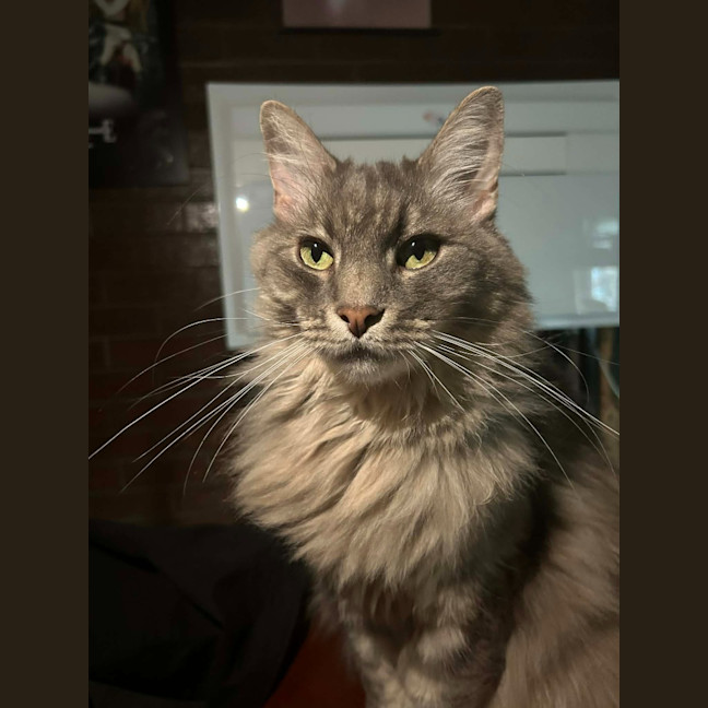 Photo of Pierre