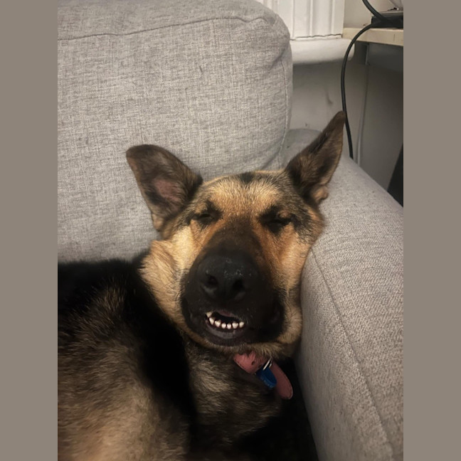 Photo of Lola