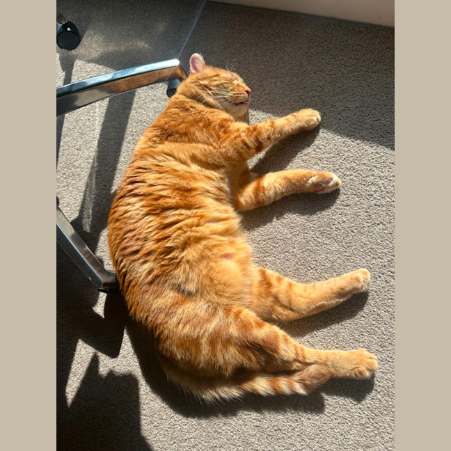 Photo of Bobby