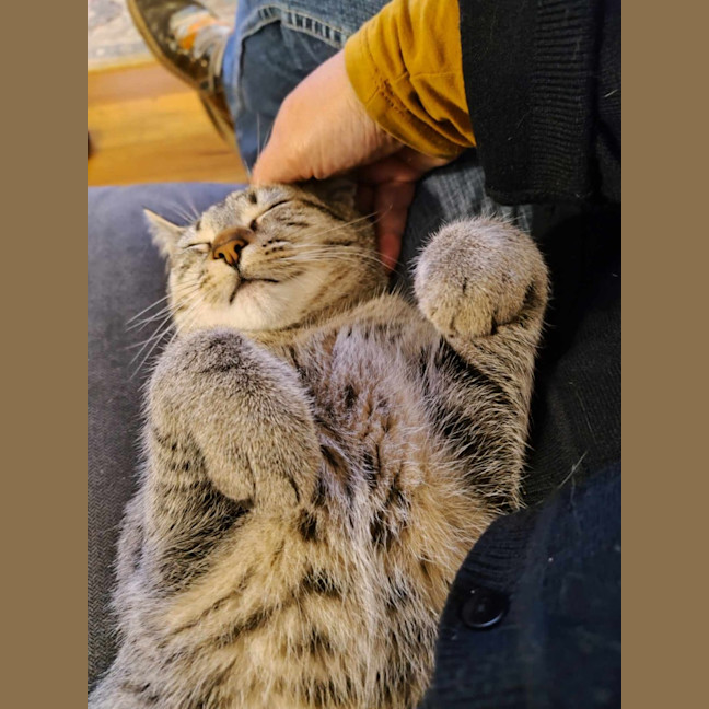 Photo of Oliver