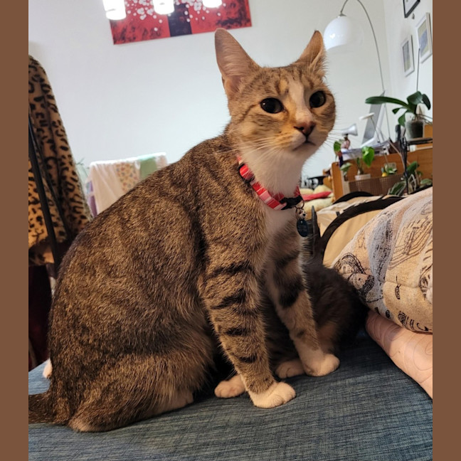 Photo of Belle