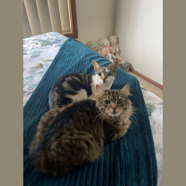 Photo of Ellie & Munchie