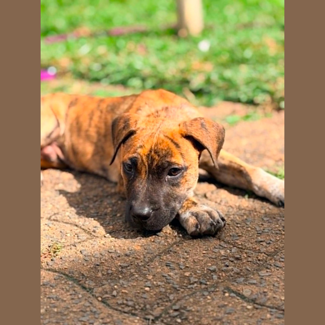 Photo of Tito