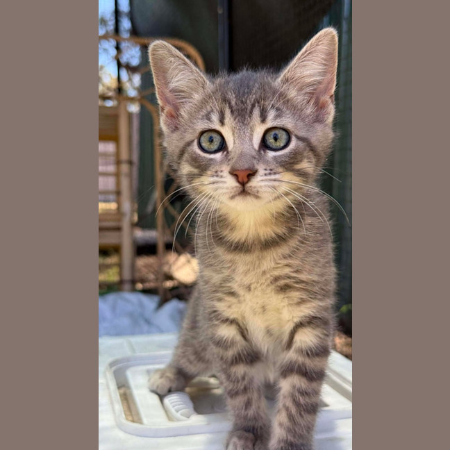 Photo of Humpty Dumpty