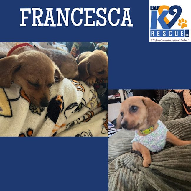 Photo of Francesca