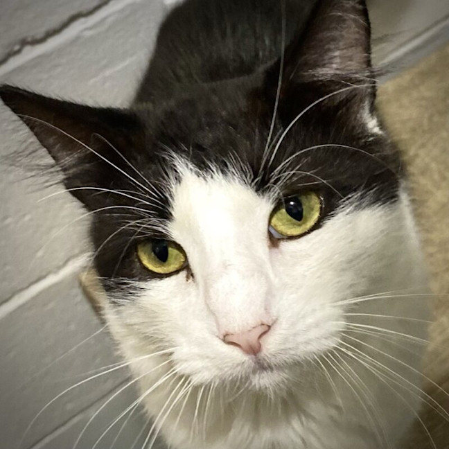 Photo of Jasper