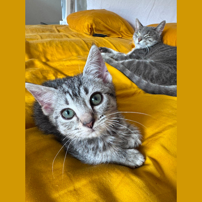 Photo of Twinkles 🌟