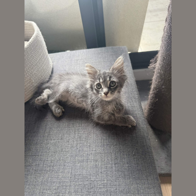 Photo of Theo