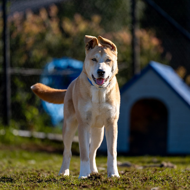 Photo of Spud Imp 1266