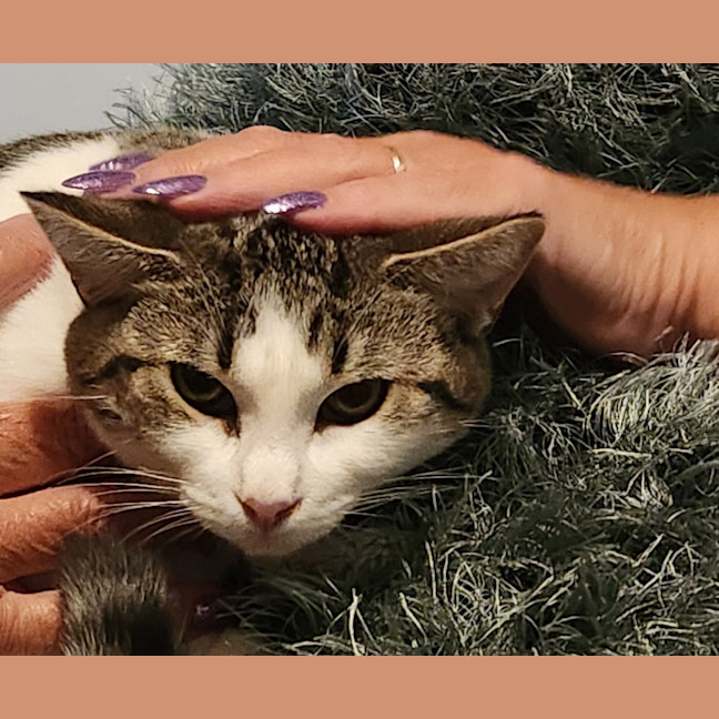 Photo of Tilly