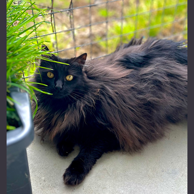 Photo of Dora